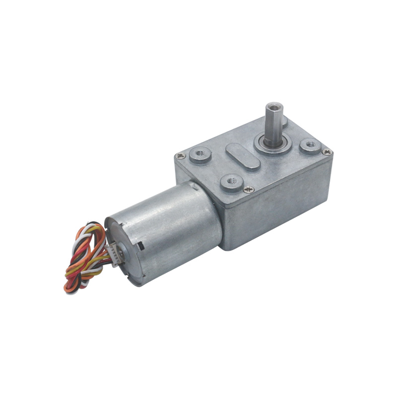 12V 24V Brusheless Worm Gear DC Motor Adjustable BLDC Gearmotor with Encoder
