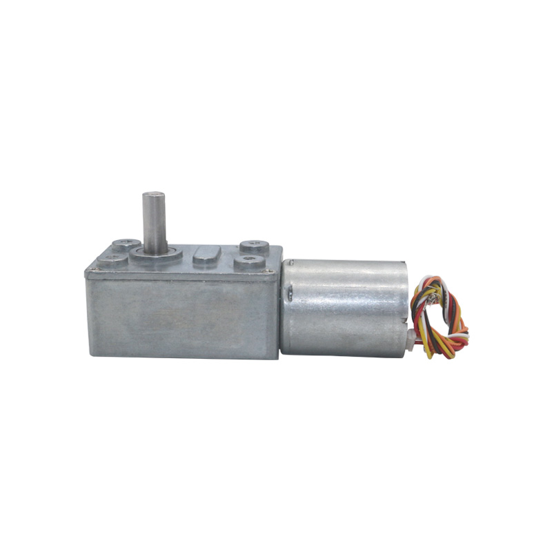 12V 24V Brusheless Worm Gear DC Motor Adjustable BLDC Gearmotor with Encoder