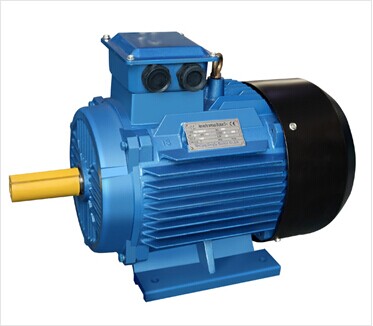 Y2 series cast iron three phase ac induction motor