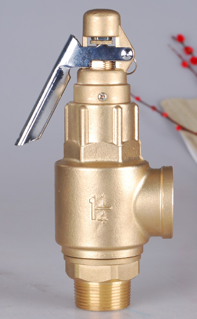 Bronze safety valve