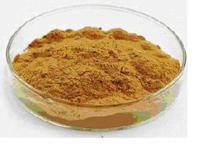 Rhodiola Rosea Extract Powder