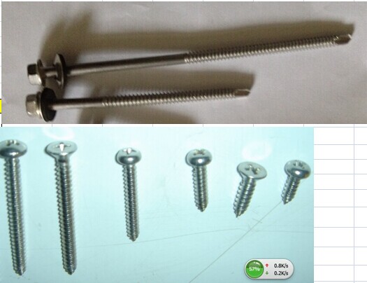 Stainless Steel Self Drilling (tapping)  Screw
