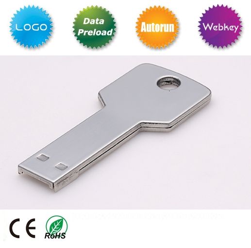 New Plastic/ABS  Key Shaped USB Flash Memory Disk
