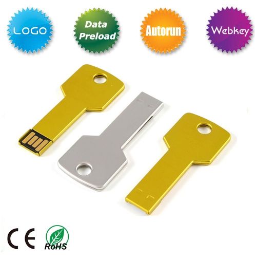 New Plastic/ABS  Key Shaped USB Flash Memory Disk