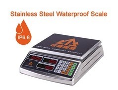 Stainless steel Electronic price computing scale 5602