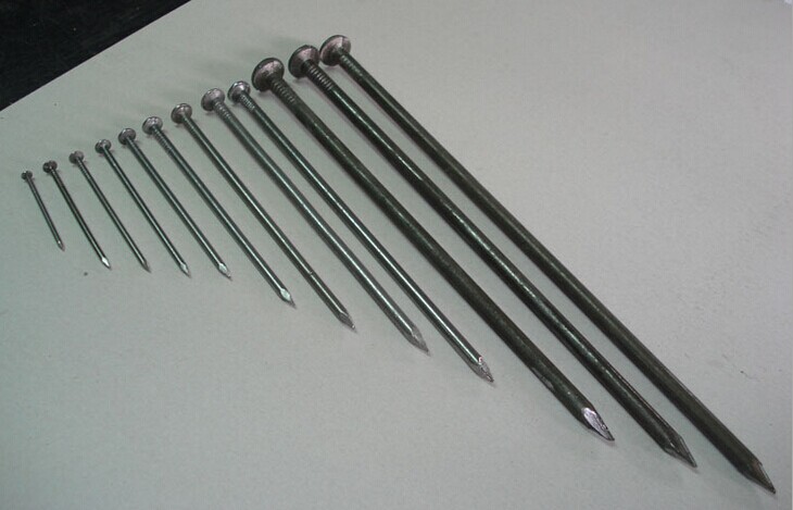2-1/2'' Electro Galvanized Common Wire Nail