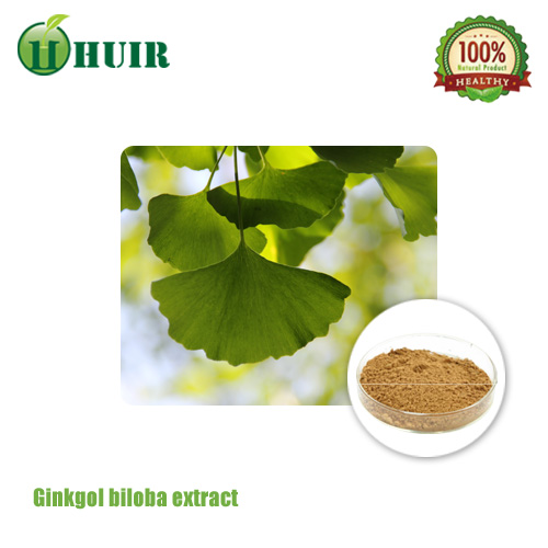 Ginkgo Biloba leaf extract 24 flavones6 lactones CP05CP10CP15USP