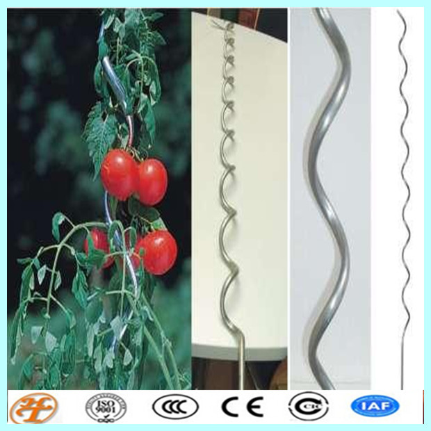 galvanized and PVC coated tomato spiral rod wires decorative plant stakes wire for supporting