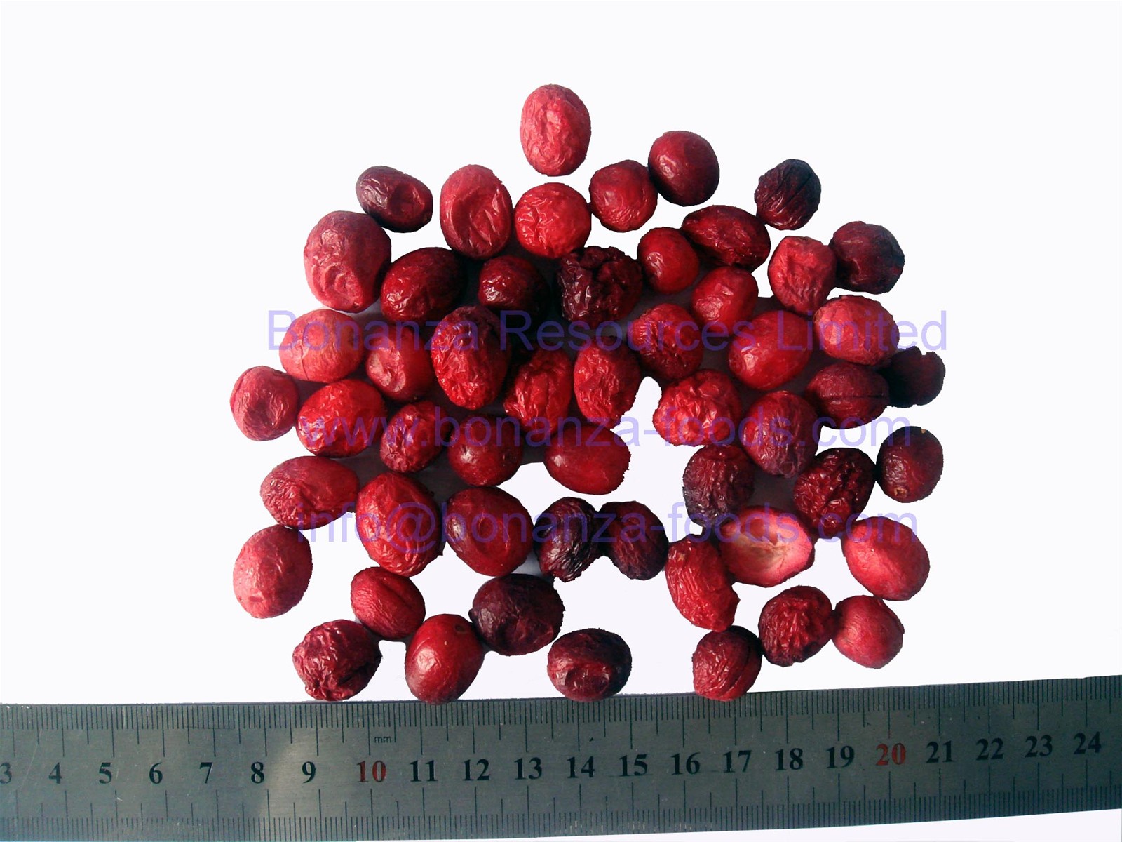 High Quality Freeze Dried Cranberry Freeze Dried Food Natural