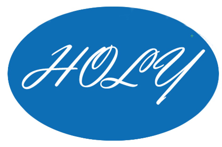 Holy Technology Co., Ltd.