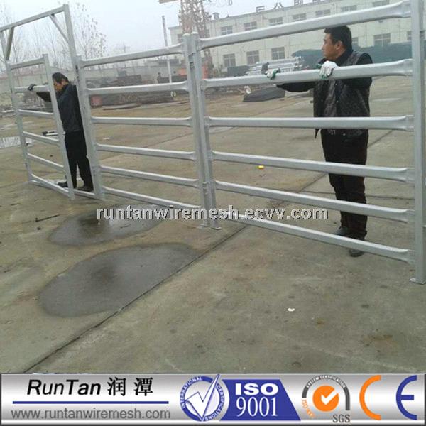 galvanized horse training pens