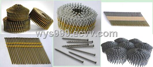 wire coil roofing nail,pallet nail,stainless steel nail, copper/brass nail