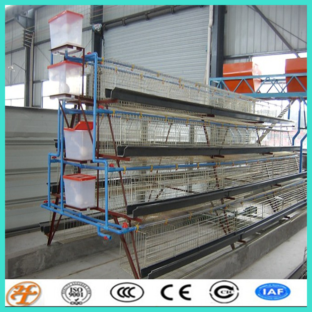 A type 4 tiers 160 chicken battery cages chicken farm breeding used