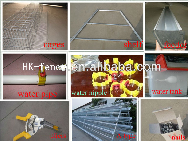 Best Sale A type in 3tiers 96cells Egg Layer Chicken Cage