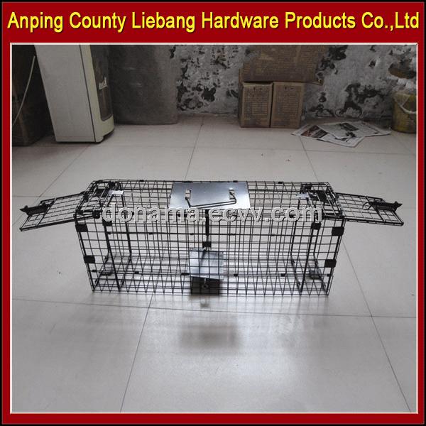 Humane Folding Double Gravity Door Trap Cage for Cat & Squirrel