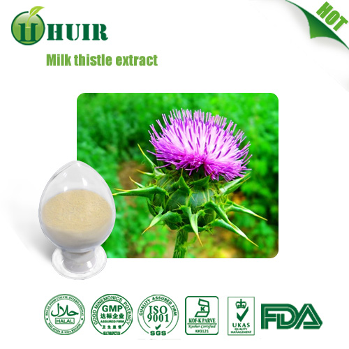 80 silymarin Milk thistle seed extract natural liver health