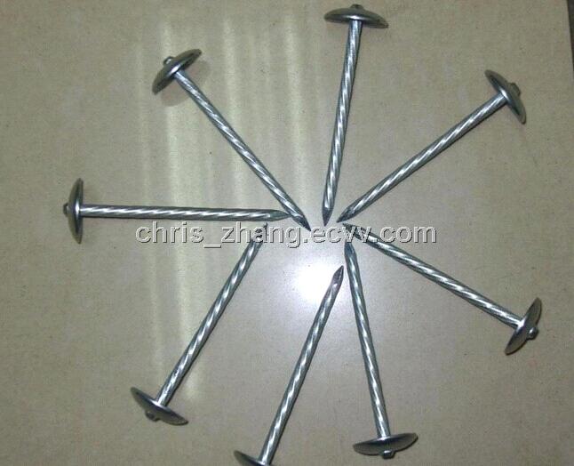 Twisted Umbrella nail BWG820