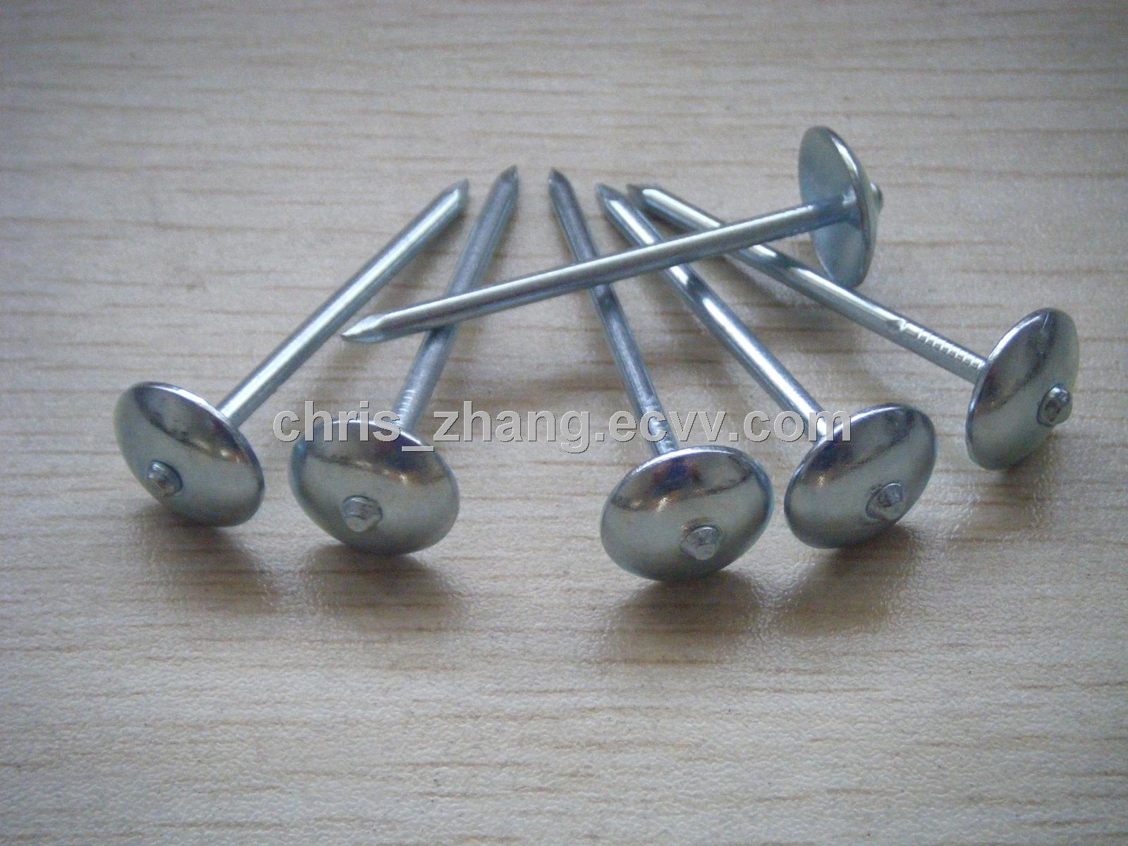 Twisted Umbrella nail BWG820