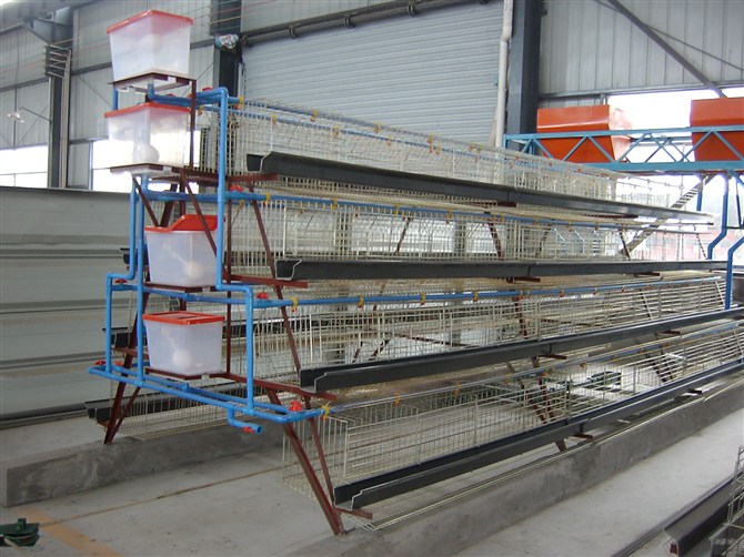 Best Sale A type in 3tiers 96cells Egg Layer Chicken Cage