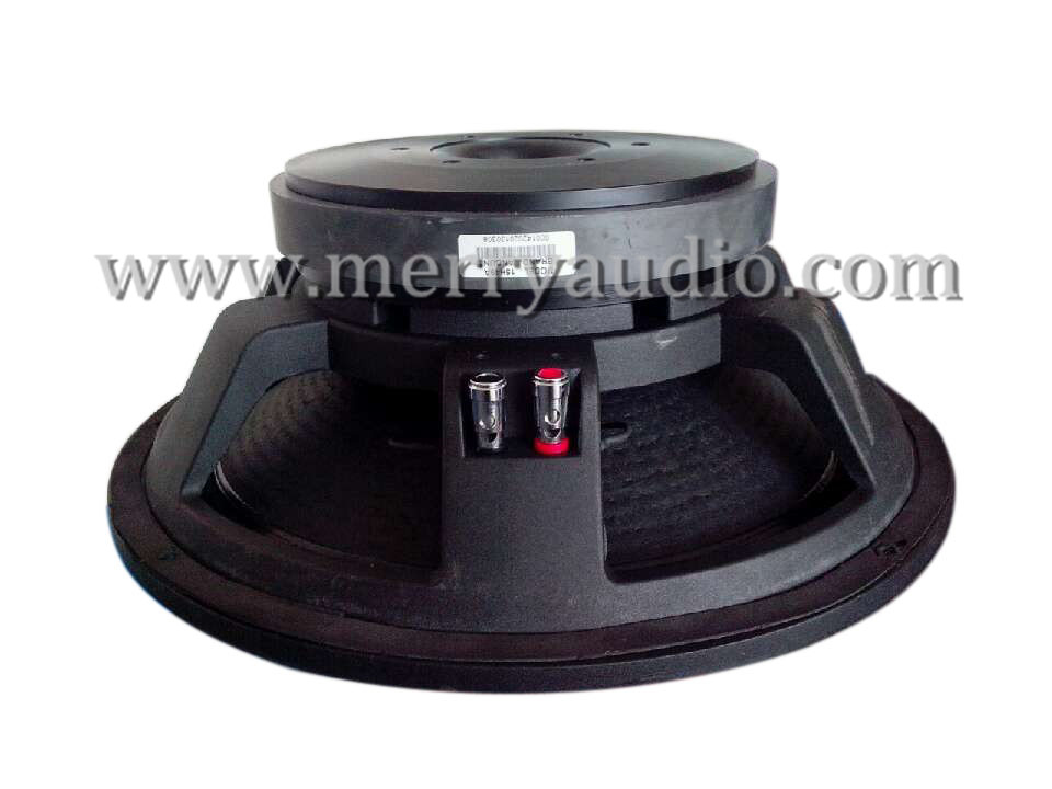 professional loudspeaker