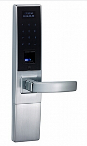 Oled Usb Flash Disk Cheap Biometric Fingerprint Door Lock