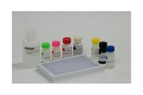 Vitamin B12 ELISA EnzymeLinked Immunosorbent Assay kit