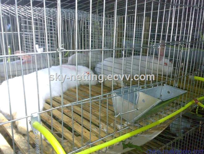 galvanized female baby rabbit wire mesh cage