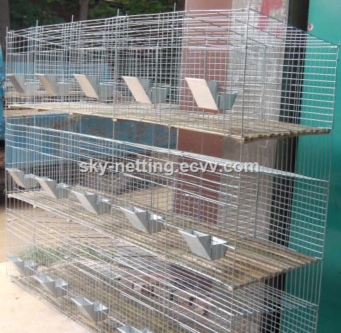 galvanized female baby rabbit wire mesh cage