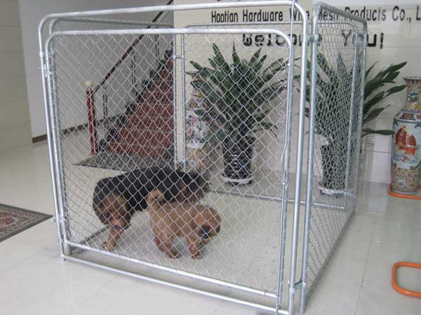 GalvanizedWeldedDogKennel