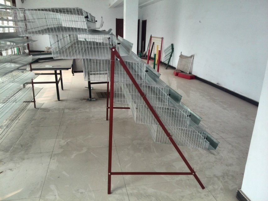 ecaltvv
