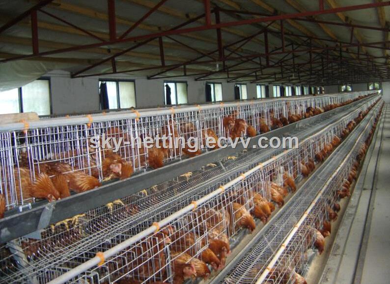 galvanizedpoultrycagesforbatterychickenlayerchicken