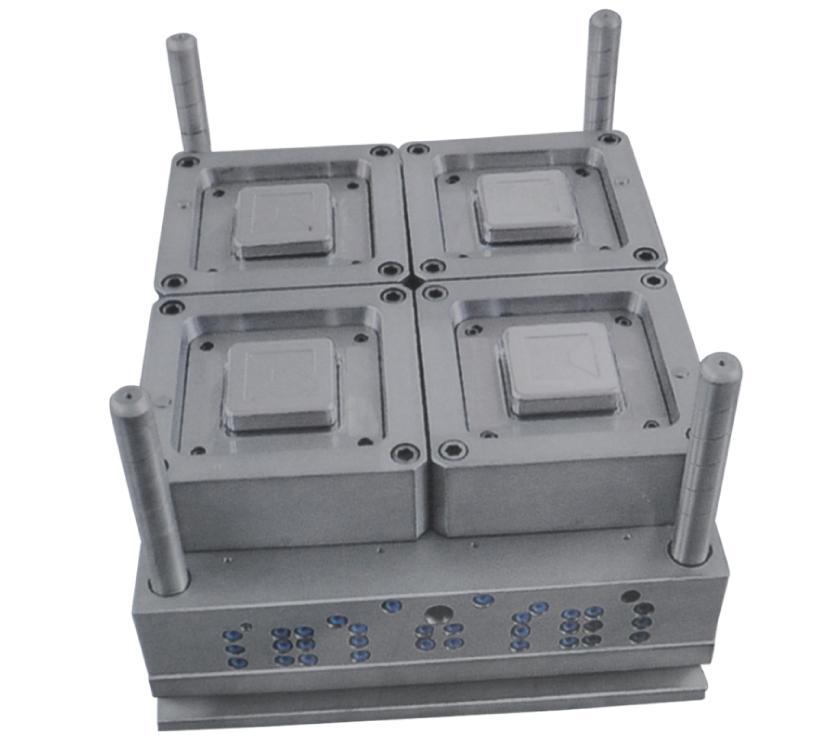 Plastic Food Container Thin Wall Mould Manufacturer