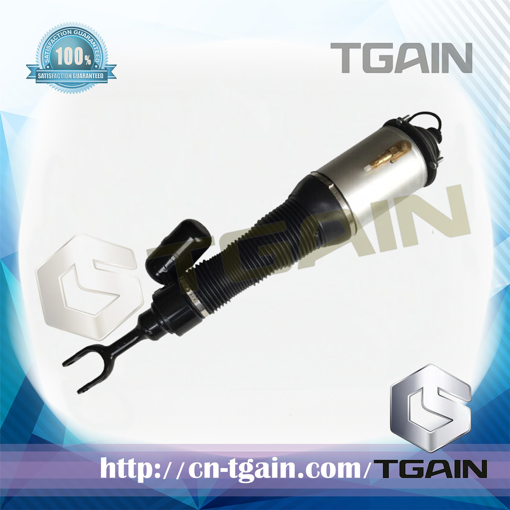 3W5 616 040 3W5616040 3W5616039 Shock Absorber for Bentley Continental GT GTC Air Suspension Strut