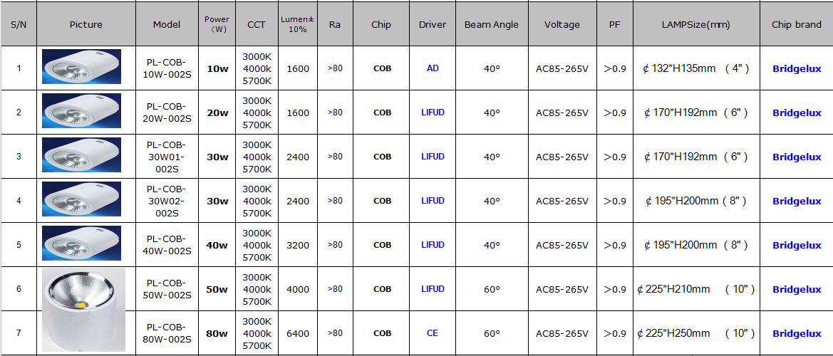 surfacemountedleddownlight