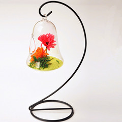 BellShapedGlassTerrariumVaseandMetalStandSetHomeDecorativeFriendGift