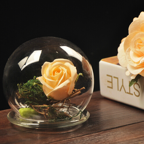 RoundShapedGlassDomeHomeDecorationCreativeHandmadeFriendGiftDIYGift
