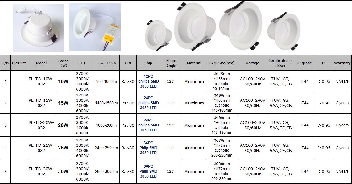 PhilipsChipLEDDownLight
