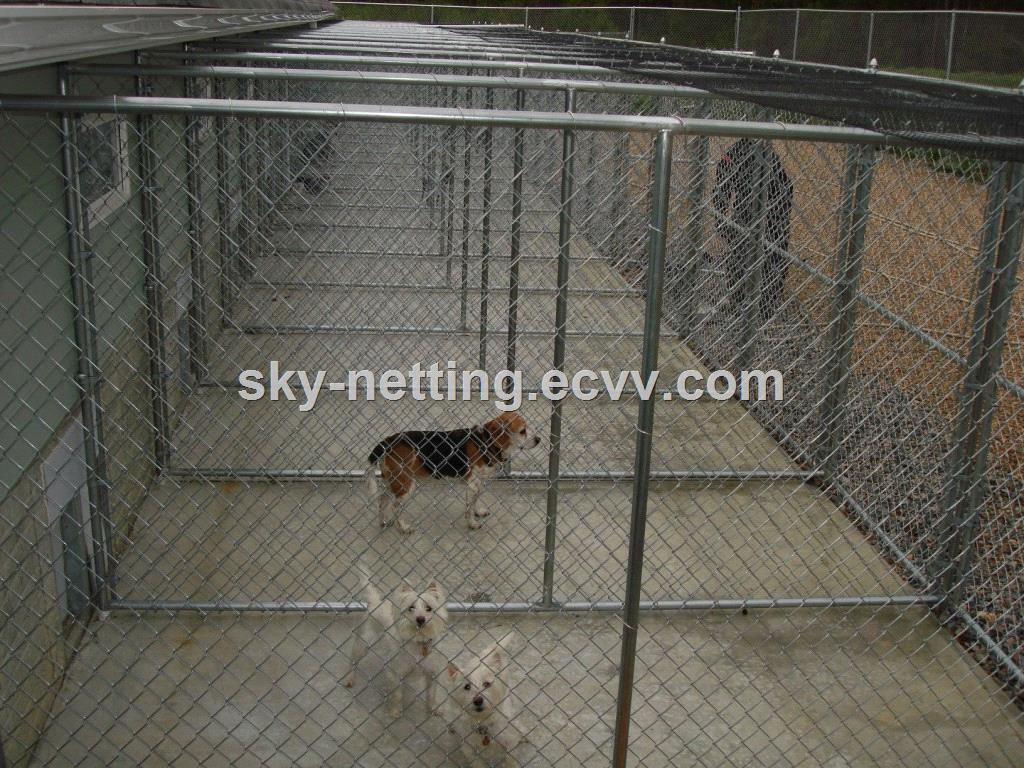 hotdippedgalvanizedoutdoorwholesalechainlinkdogkennel