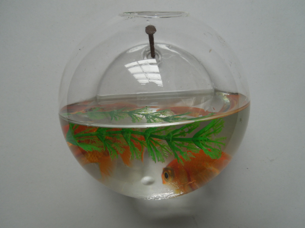 CreativeWallmountedGlassTerrariumVaseHangingGlassAquarium