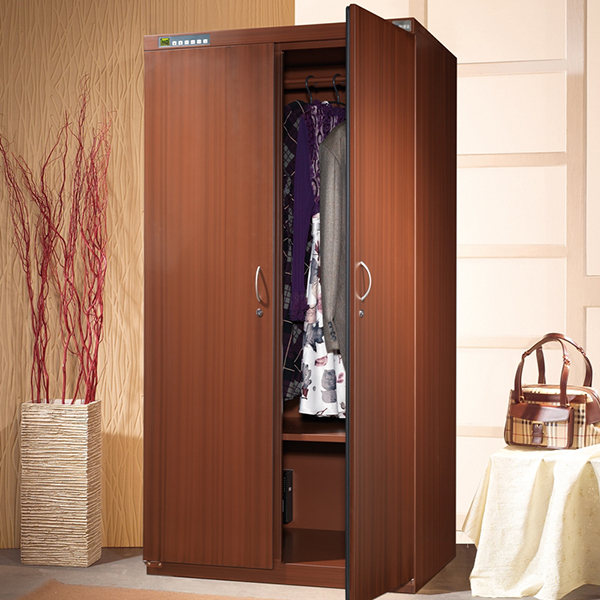 Prevent Mildew And Mold Dry Cabinet For Clothes And Bags Dry