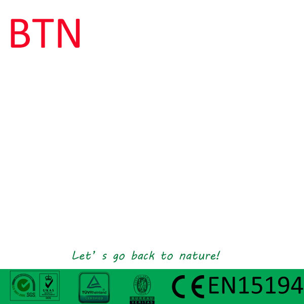 BTN Ebike Technology Co., Ltd.
