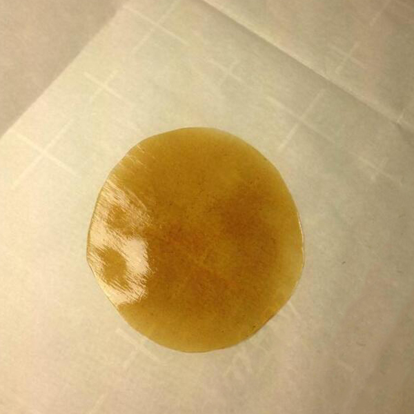 Hash Oil Extracting machine TRex for cannabis oil or wax