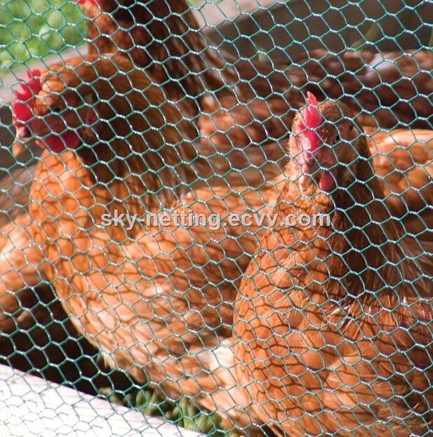 green PVC Coated Hexagonal chicken Wire Mesh