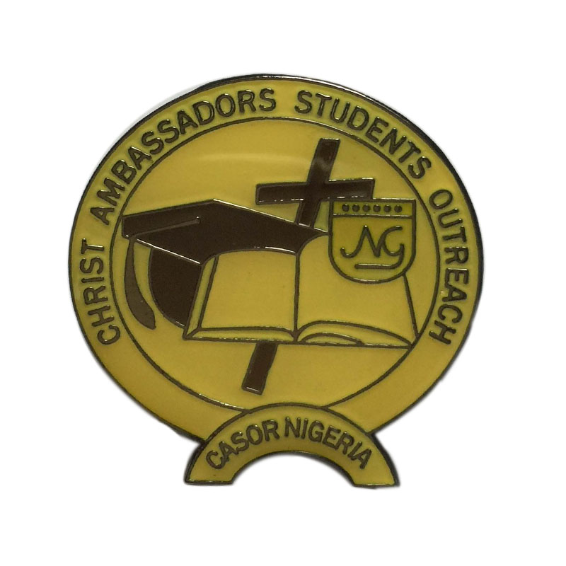 school lapel pinbadge