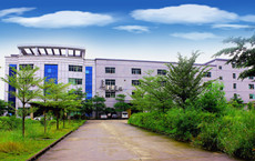Shenzhen Byou Technology Co., Ltd.