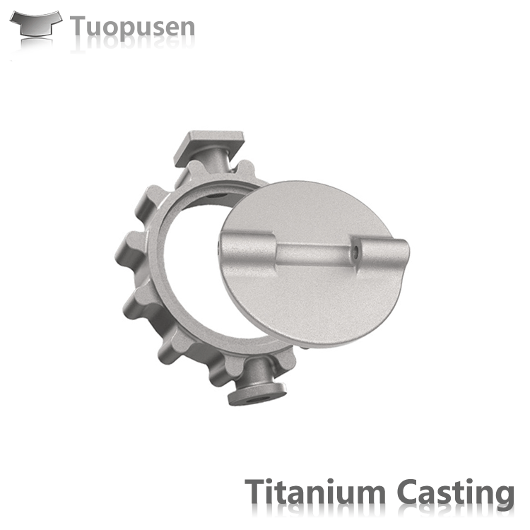 TPS titanium casting parts pump Grade 2