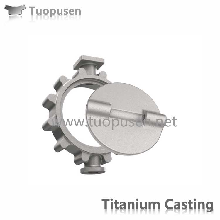 TPS titanium casting parts valve Grade C2