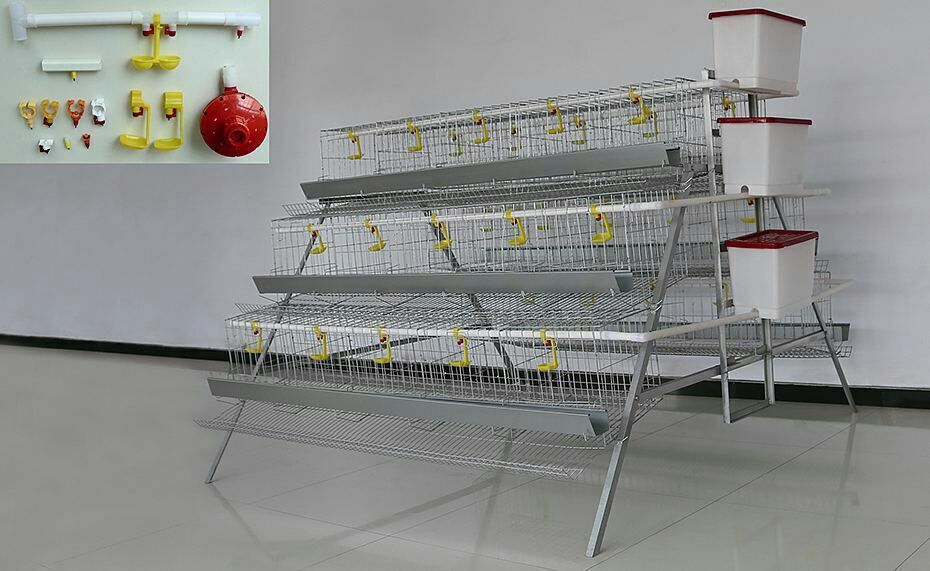 A type 3 tiers 4 tiers 96120160 chicken automatic laying hen used poultry cage