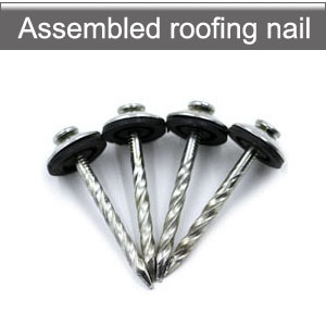 Roofing Screw Nails with Washers