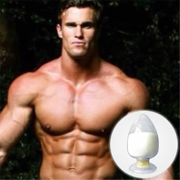 Anti Estrogen Clomid Steroids Muscle Building Clomifene Citrate Powder